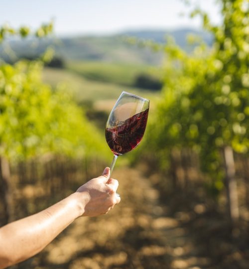 aperitivo-in-vigna